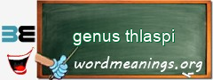 WordMeaning blackboard for genus thlaspi